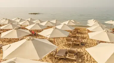 Cactus Beach