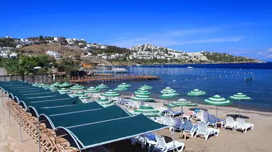 Cactus Fleur Beach