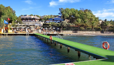 Cactus Mirage Family Club