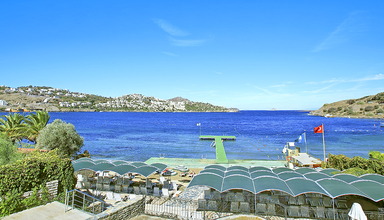 Cactus Mirage Family Club