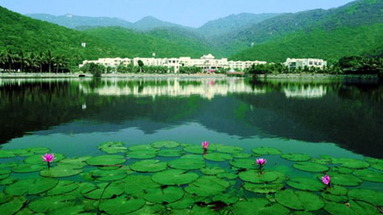 Cactus Resort