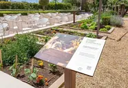 Cala Millor Garden