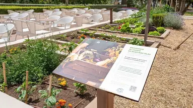 Cala Millor Garden