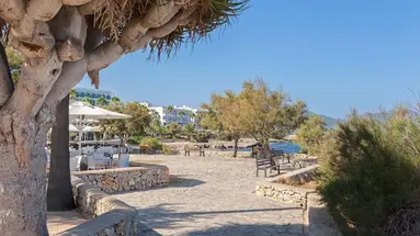 Cala Millor Garden