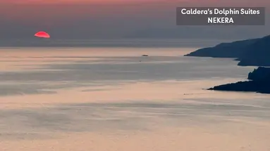 Caldera's Dolphin