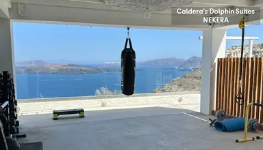 Caldera's Dolphin