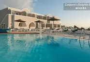 Caldera's Dolphin