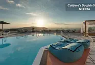 Caldera's Dolphin