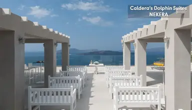 Caldera's Dolphin