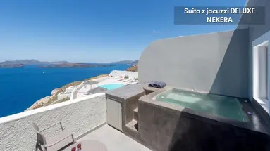 Caldera's Dolphin