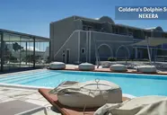 Caldera's Dolphin