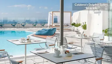 Caldera's Dolphin