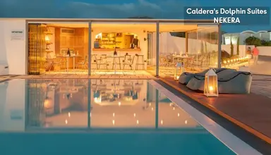Caldera's Dolphin