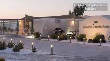 Caldera's Dolphin