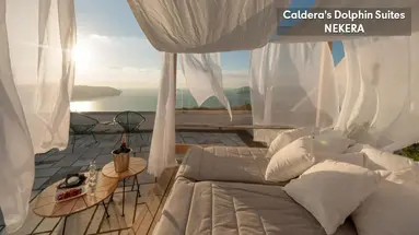 Caldera's Dolphin