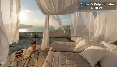 Caldera's Dolphin
