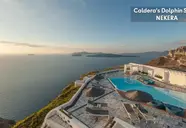 Caldera's Dolphin