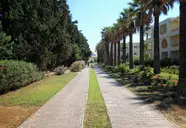 Calimera Delfino Beach Resort & Spa