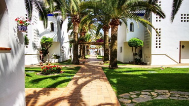 Camino Real