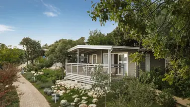 Camp Vestar