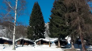 Camping Bungalows Val di Sole