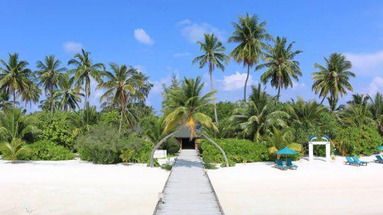 Canareef Resort Maldives