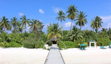 Canareef Resort Maldives