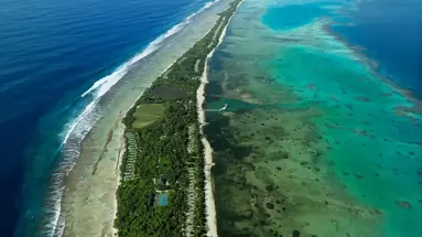 Canareef Resort