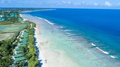 Canareef Resort