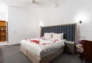 Canary Hotel And Spa