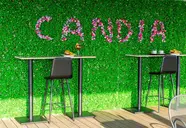 Candia