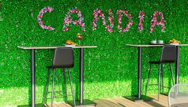 Candia
