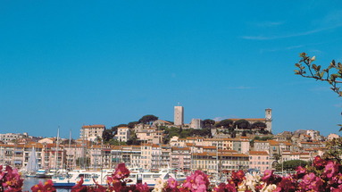 Cannes Riviera