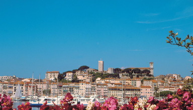 Cannes Riviera