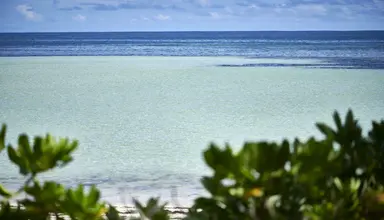 Canopy by Hilton Seychelles