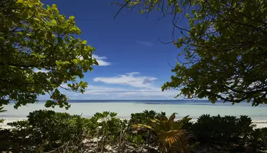Canopy by Hilton Seychelles