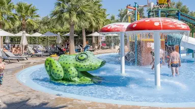 Caretta Paradise