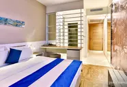 Carine Delfin Bijela