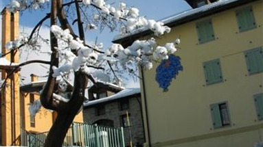Carola