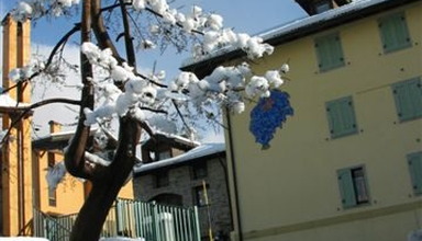 Carola