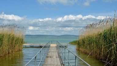 Carpe Diem (Siofok)