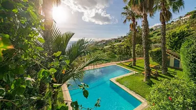 Casa do Papagaio Verde