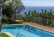 Casa do Papagaio Verde