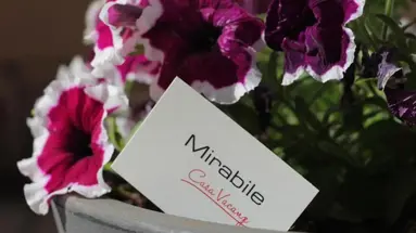 Casa Mirabile Relais