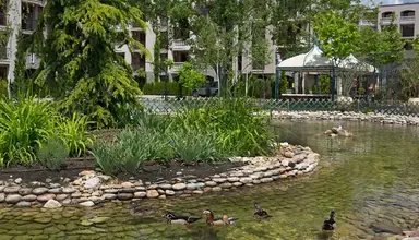 Cascadas Family Resort
