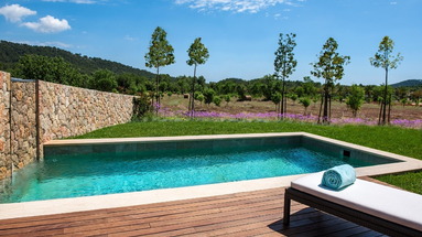 Castell Son Claret