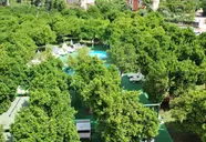 Castle Park