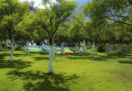 Castle Park