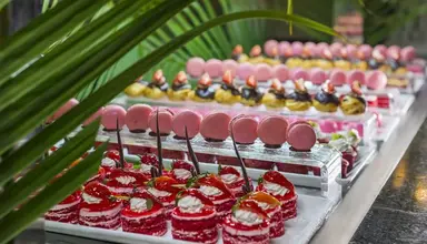 Catalonia Bavaro Beach, Golf & Casino Resort