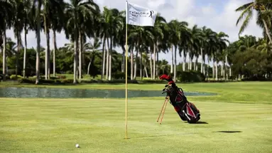 Catalonia Bavaro Beach, Golf & Casino Resort